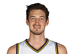 蒂博尔·佩莱斯